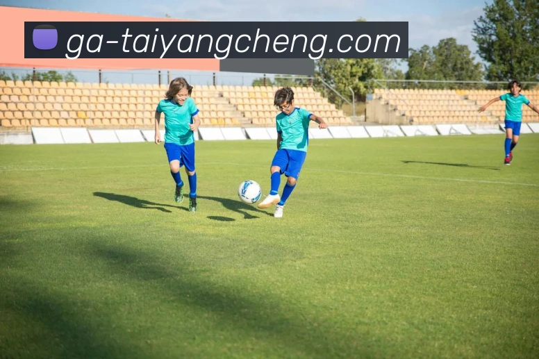 太阳城网站APP 体育赛事宣传图